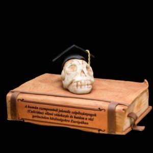 koponyás könyv torta